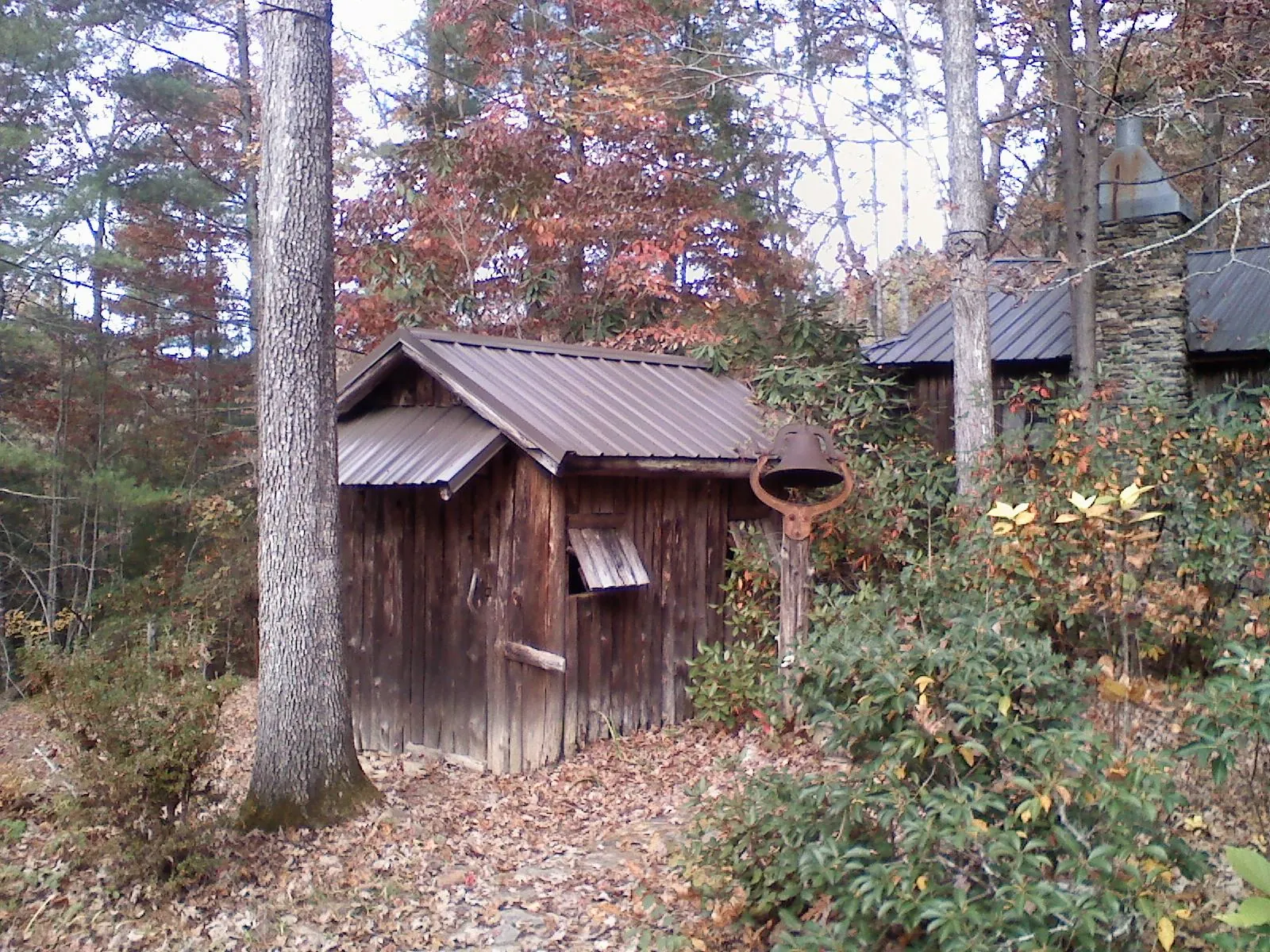 Small metal roof on a rough sawn shed in the woods in Dublin